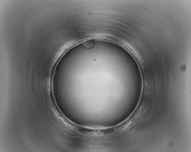 X0000096160994200801251123