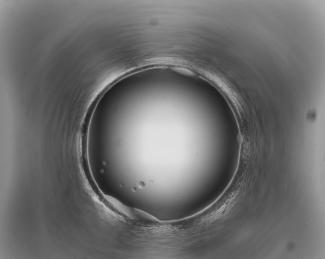 X0000096160999200801251123