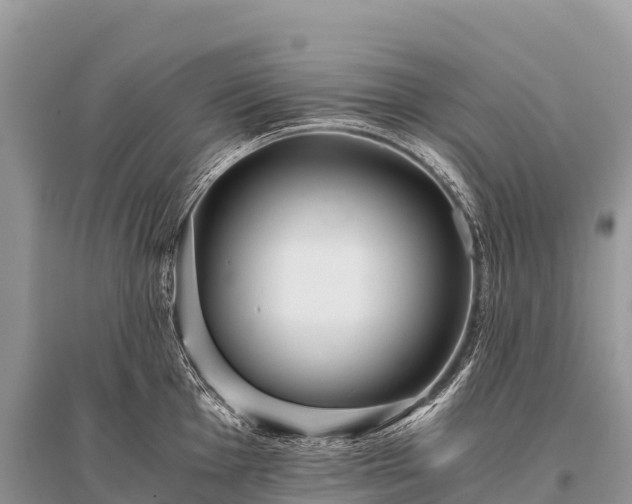 X0000096161001200801251123