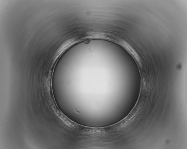 X0000096161002200801251123