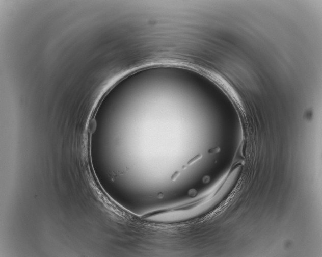 X0000096161004200801251123