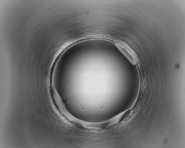 X0000096161005200801251123