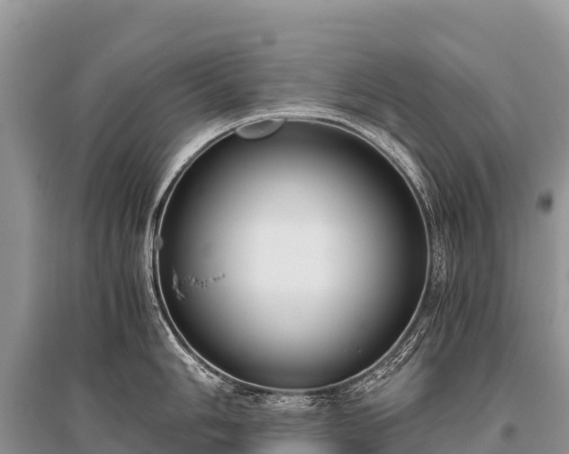 X0000096161006200801251123