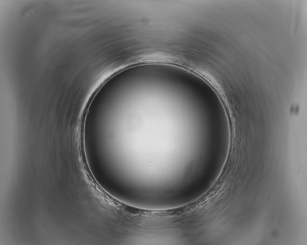 X0000096161008200801251123