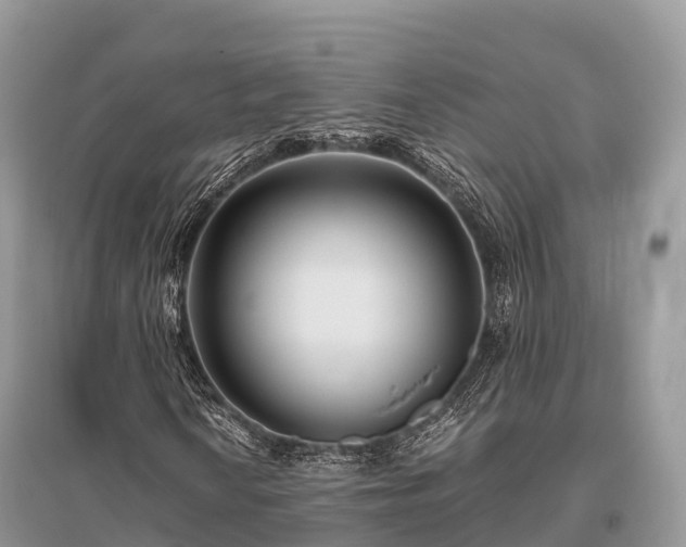 X0000096161010200801251122