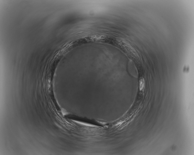 X0000096161011200801251122