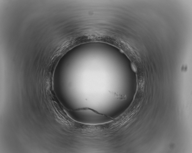 X0000096161012200801251122