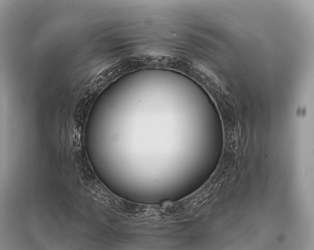 X0000096161013200801251122