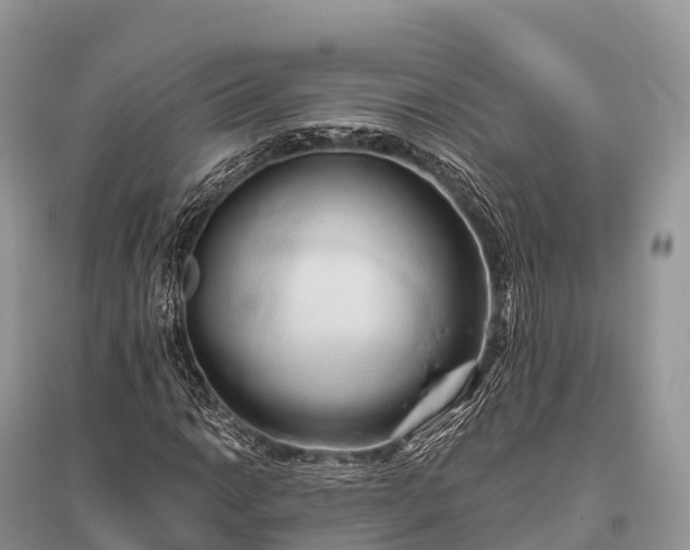 X0000096161014200801251122