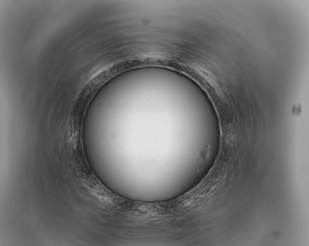 X0000096161015200801251122