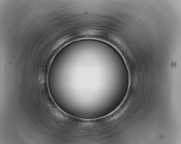 X0000096161017200801251122