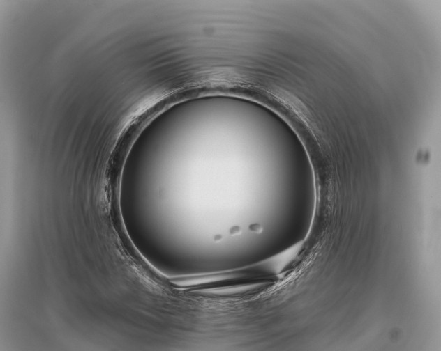 X0000096161018200801251122