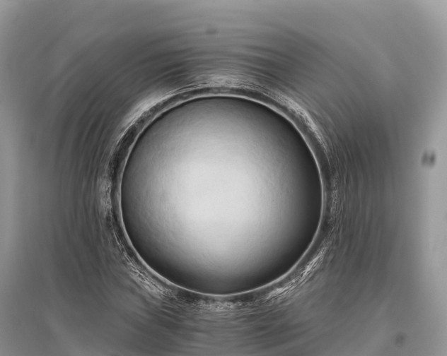 X0000096161019200801251122