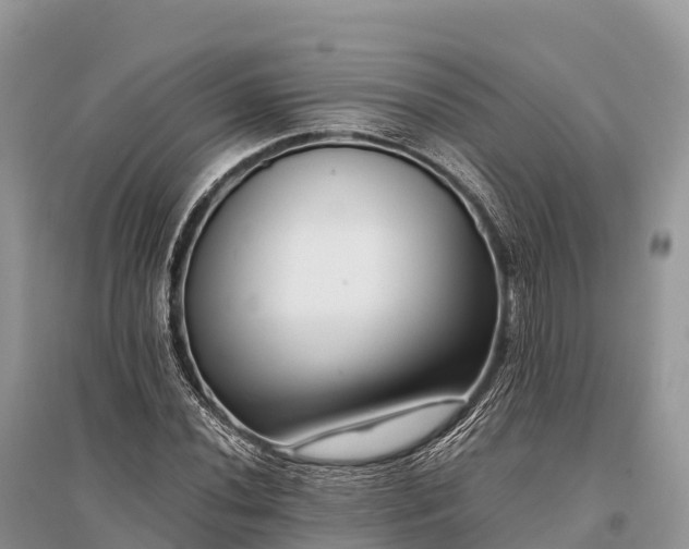 X0000096161020200801251123