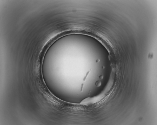 X0000096161021200801251123