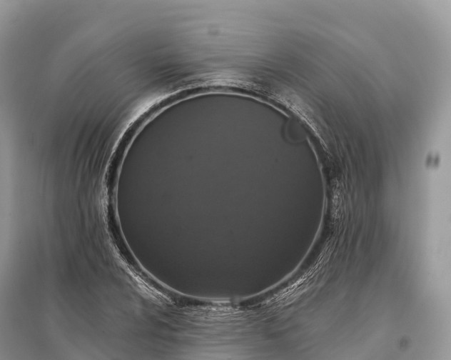 X0000096161024200801251123