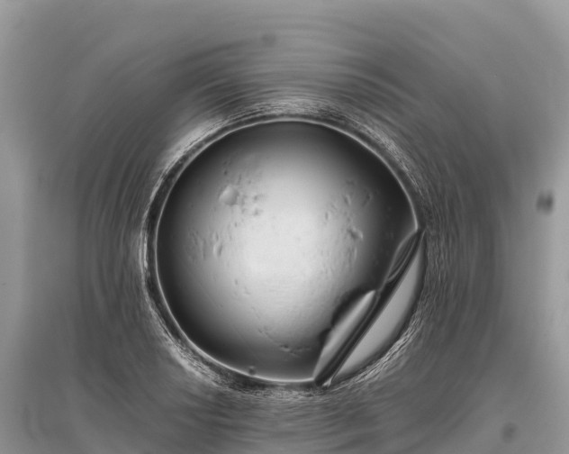 X0000096161034200801251123