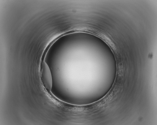 X0000096161036200801251123