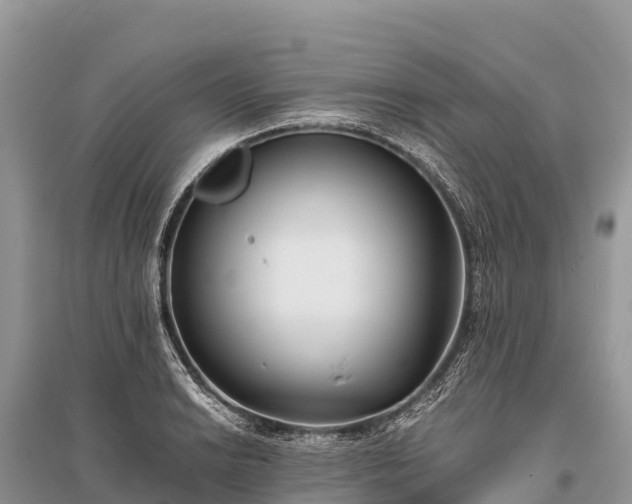 X0000096161038200801251123