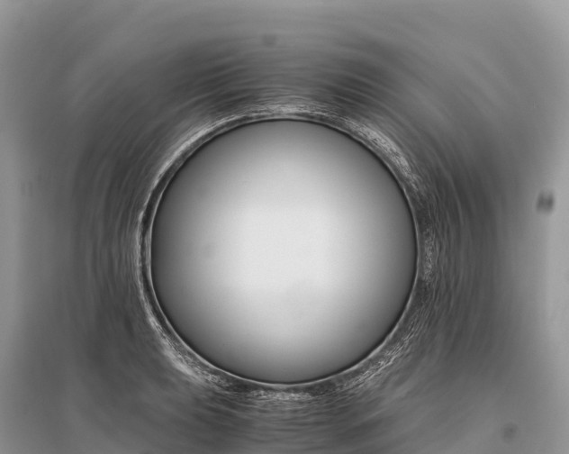 X0000096161039200801251123