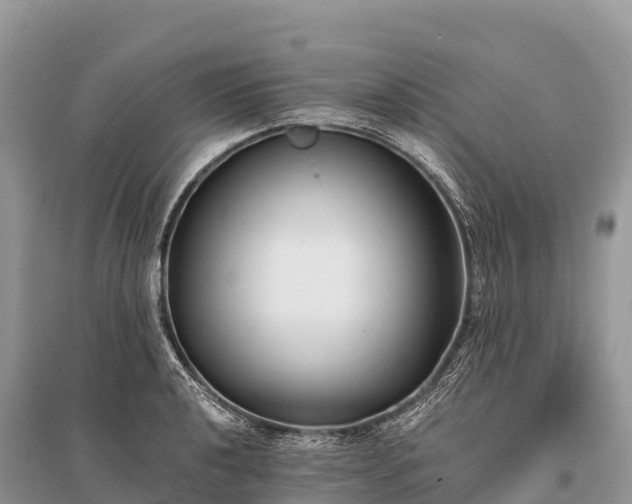 X0000096161040200801251123