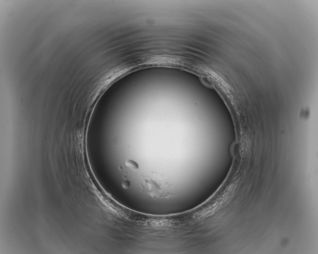 X0000096161041200801251123