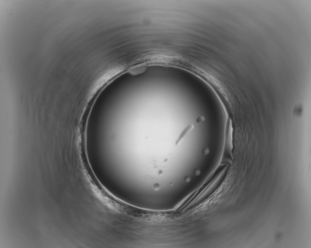 X0000096161042200801251123