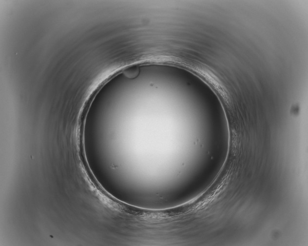 X0000096161046200801251123