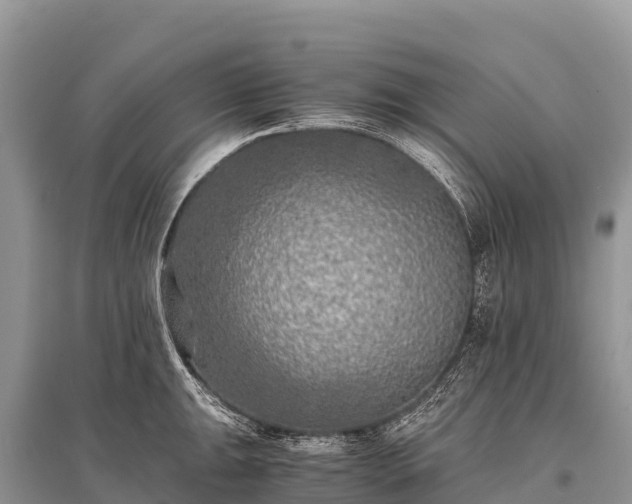 X0000096161047200801251123