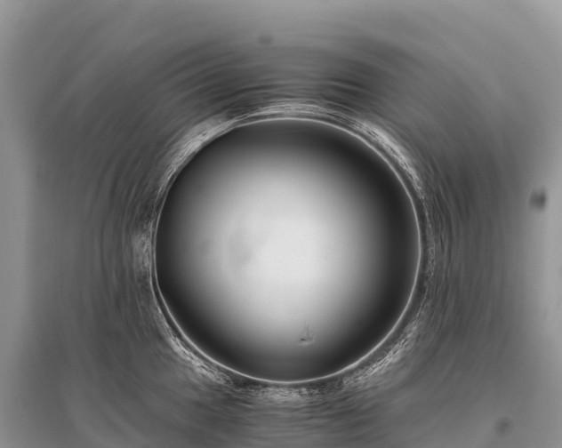 X0000096161049200801251123