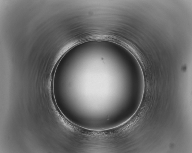 X0000096161050200801251123