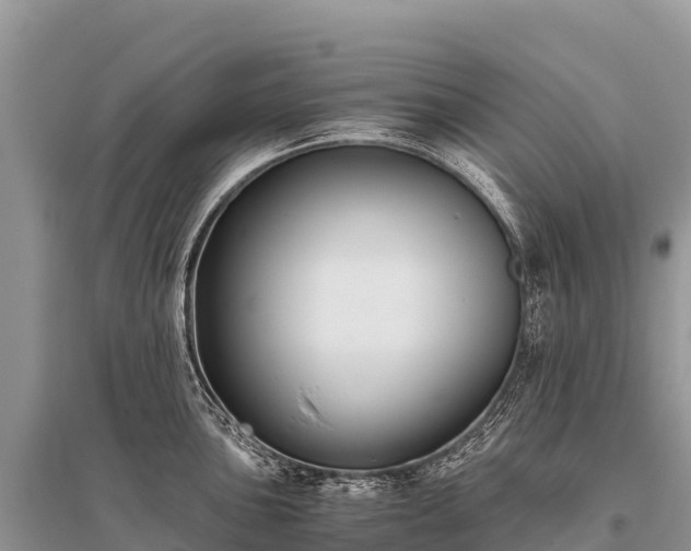 X0000096161051200801251123