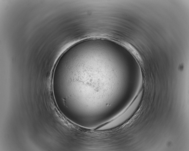 X0000096161052200801251123