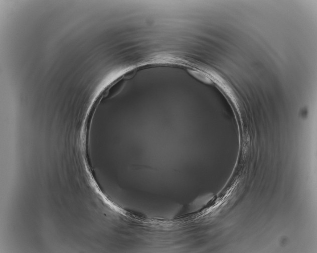 X0000096161053200801251123