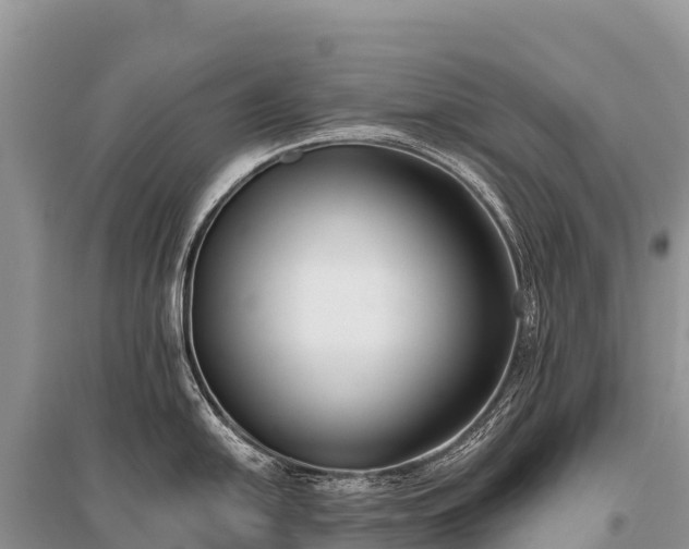 X0000096161054200801251123