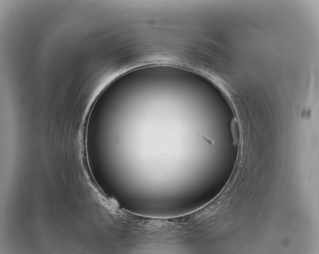 X0000096161056200801251123