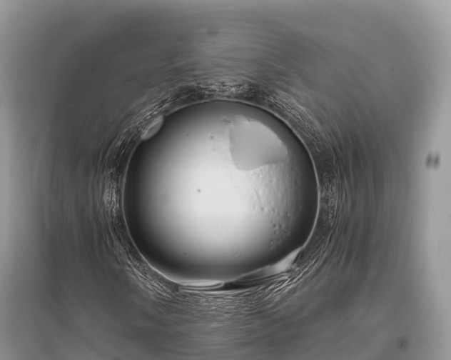X0000096161058200801251122