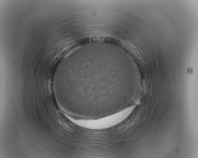 X0000096161060200801251122