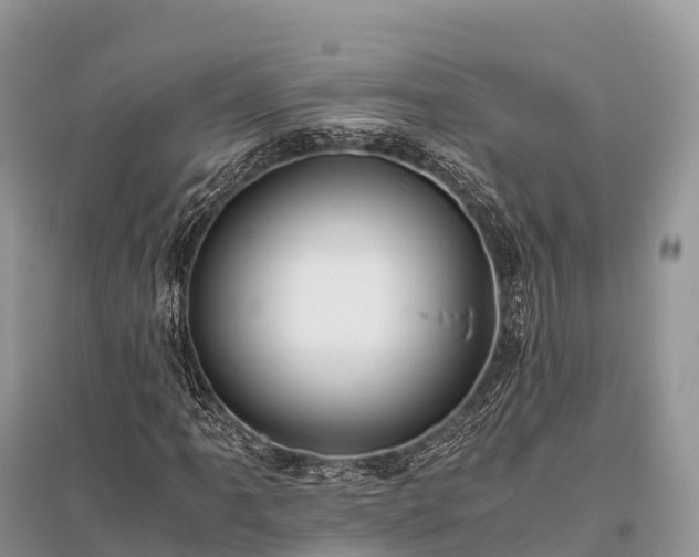 X0000096161061200801251122
