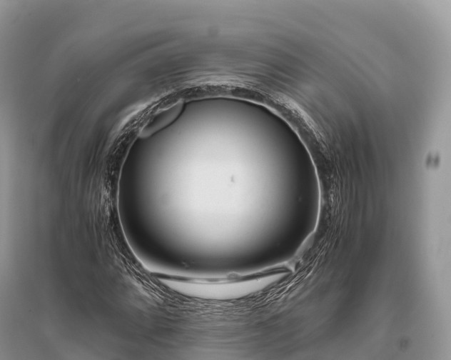 X0000096161064200801251122