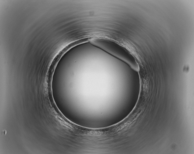 X0000096161068200801251122