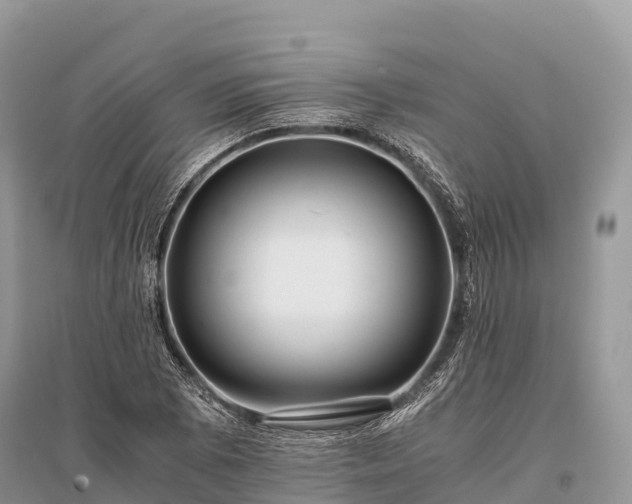 X0000096161073200801251122
