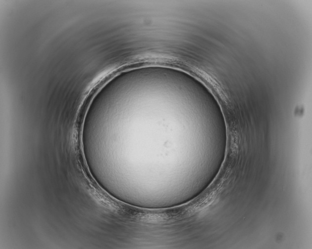 X0000096161074200801251122