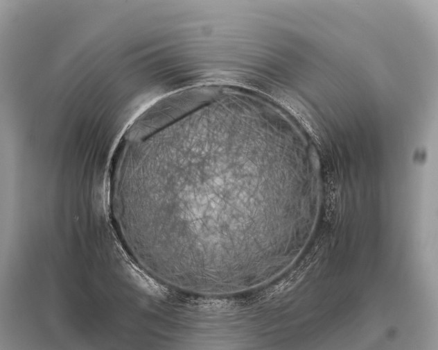 X0000096161076200801251122
