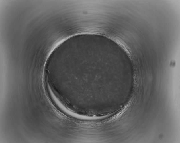 X0000096161077200801251122
