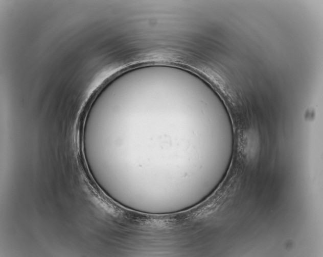 X0000096161078200801251122