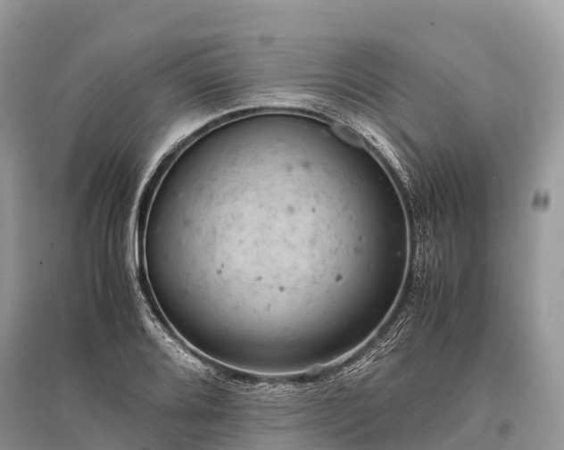 X0000096161080200801251122