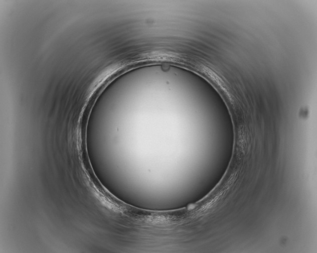 X0000096161082200801251122