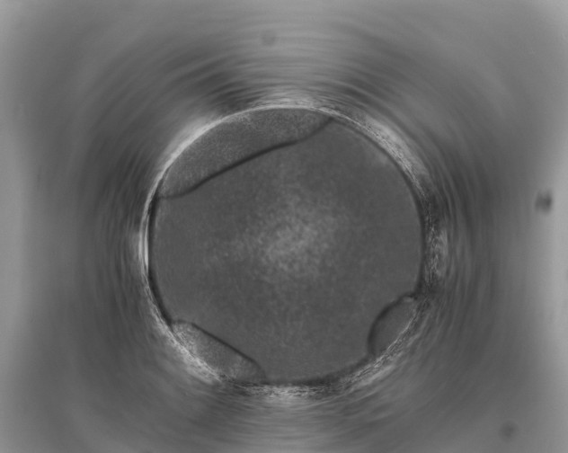 X0000096161084200801251122