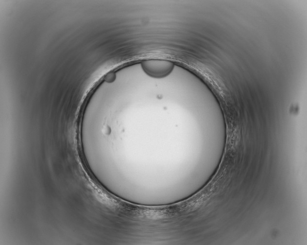 X0000096161086200801251122